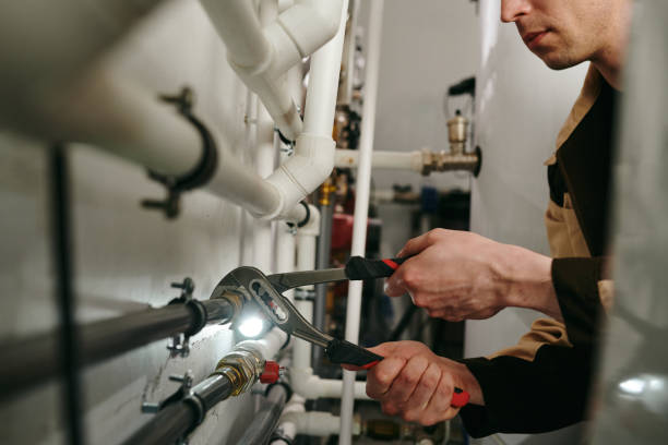 Best Clogged Drain Plumber  in Marshall, WI